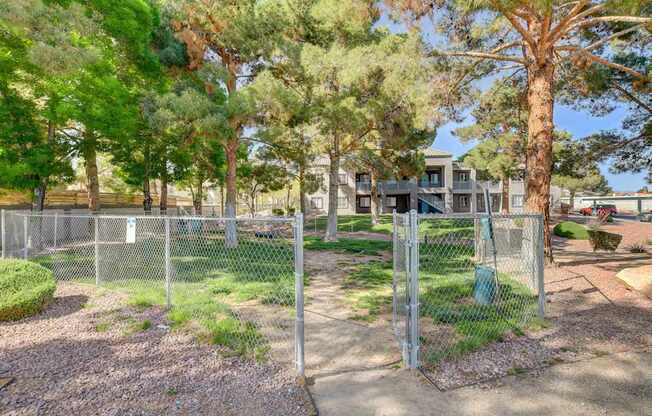 A fenced area with a green tree and a building in the background.