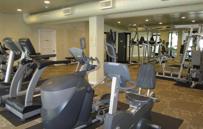 Crystal Tree has a newly remodeled fitness center
