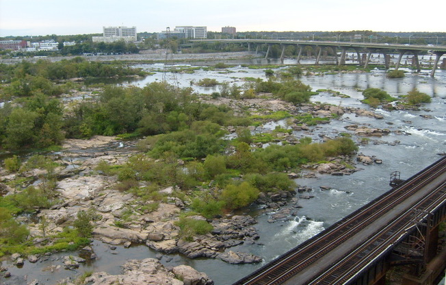 1 bed, 1 bath, $1,600