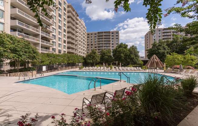 Modern Apartment Rentals in Crystal City Arlington VA