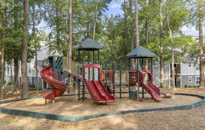 the playground at the preserve at ballantyne commons at Trails at Short Pump Apartments, Richmond, VA, 23233