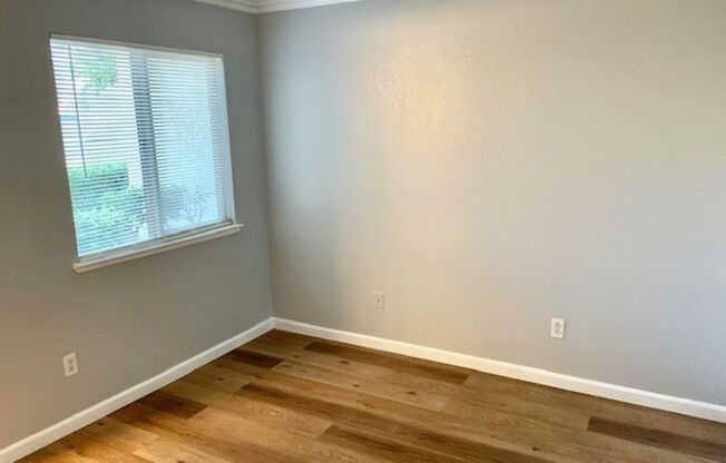 1 bed, 1 bath, $1,900