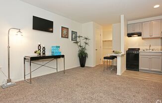 Studio, 1 bath, 450 sqft, $989, Unit 03-104