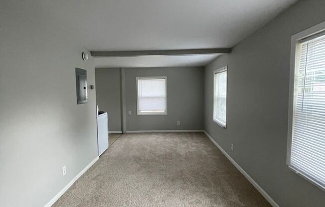 1 bed, 1 bath, $595