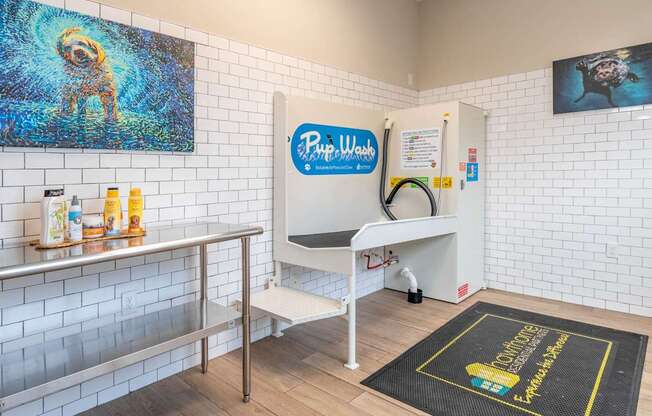 pet spa with washing and drying stations