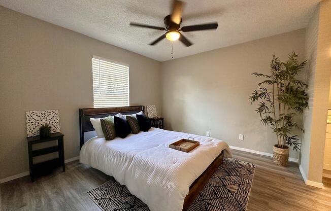 1 bed, 1 bath, 500 sqft, $919