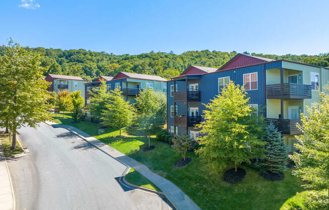 an aerial view of a row of houses with trees and a road at River Mill Lofts & Skyloft, North Carolina, 28803