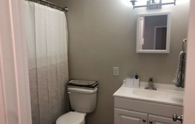1 bed, 1 bath, 456 sqft, $1,350, Unit 311