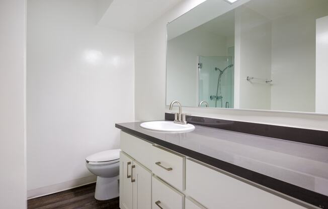 a bathroom with a sink and a toilet and a mirror