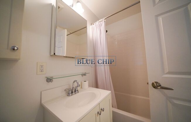 Studio, 1 bath, 309 sqft, $2,500, Unit 15