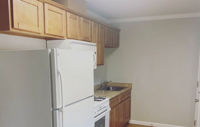 Studio, 1 bath, $1,250, Unit 111 -9