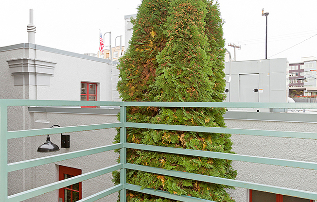 1 bed, 1 bath, 525 sqft, $1,499, Unit 201