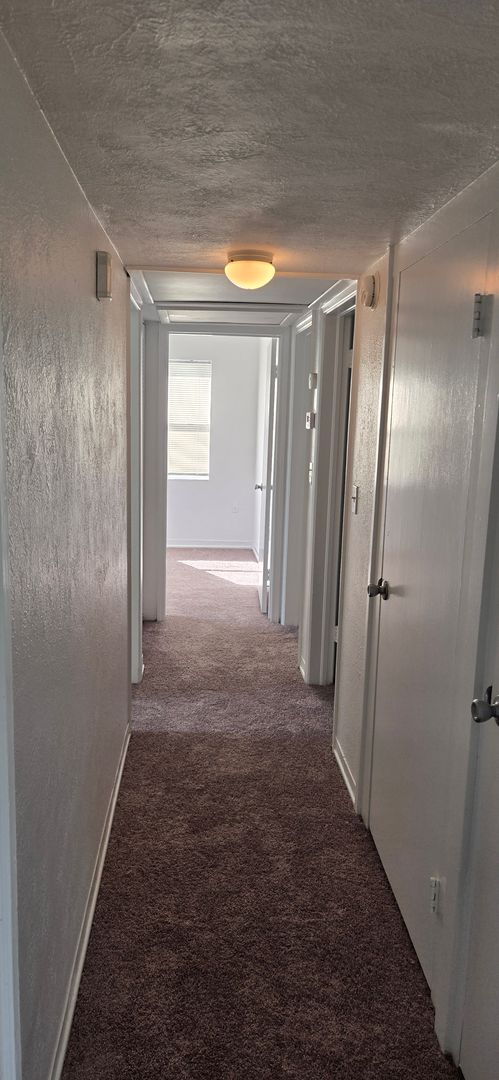 3/1 cottage conveniently located near Downtown Mount Dora
