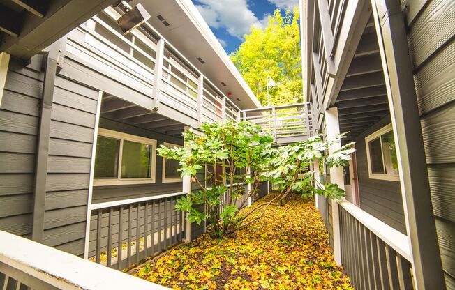 #329 MAPLE VIEW APARTMENTS