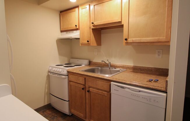 Studio, 1 bath, 520 sqft, $850, Unit 107