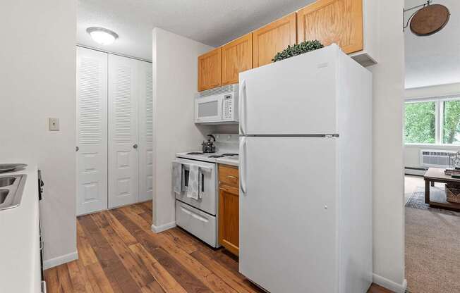 International Village Apartments