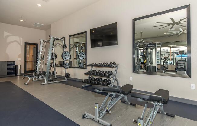 A modern gym interior featuring weightlifting equipment, including a squat rack and benches, along with a rack of dumbbells. Mirrors on the wall reflect the gym space, and there is a flat-screen TV mounted above the exercise area. The floor is a combination of gray and light wood tones, creating a sleek atmosphere.