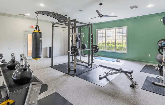 A gym with a green wall and a variety of equipment.