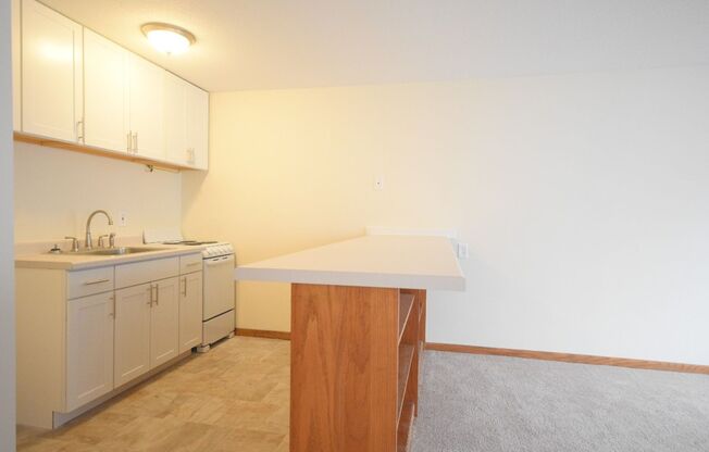 Studio, 1 bath, 450 sqft, $900, Unit 307