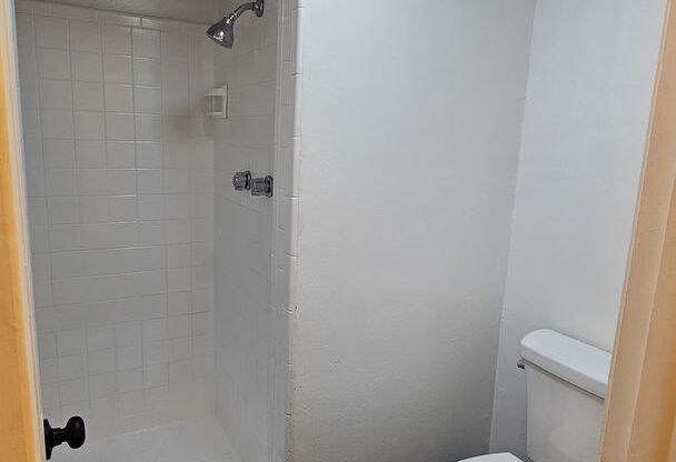 2 beds, 2 baths, 925 sqft, $1,300, Unit 119