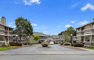 Cypress Landing