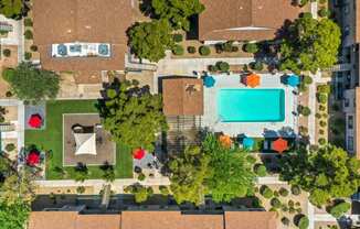 a birdseye view of a backyard with a pool and trees