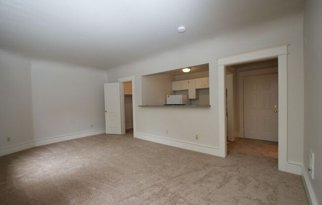Studio, 1 bath, 405 sqft, $1,195, Unit 202