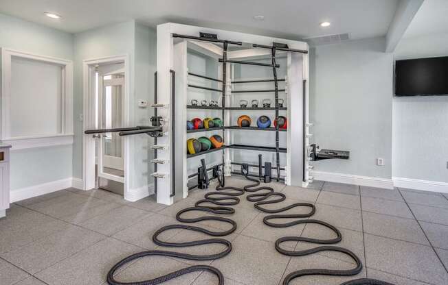 Fitness Center with tv, medicine balls and ropes