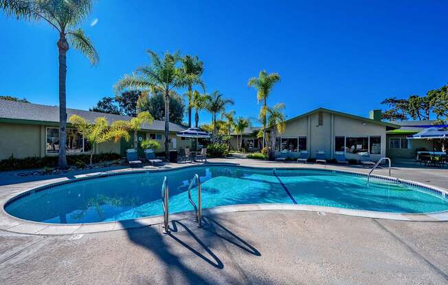 A swimming pool surrounded by palm trees and a building in the background.
