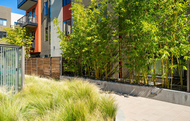 A modern building with a balcony and a green tree in front.