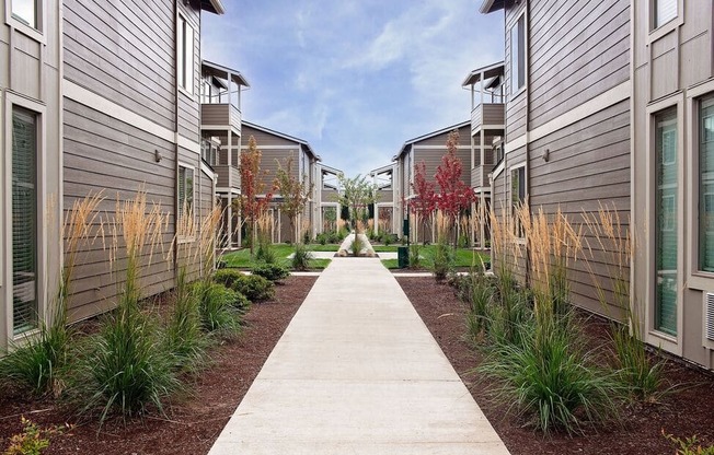 a pathway lined with plants in front of a row of buildings
