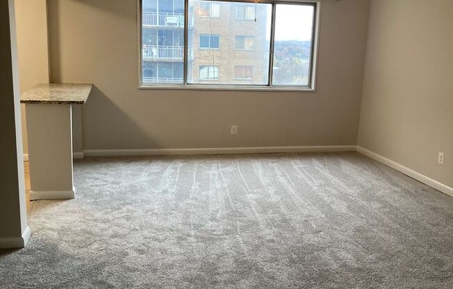Beautiful New Apartment with ALL Utilities Included!