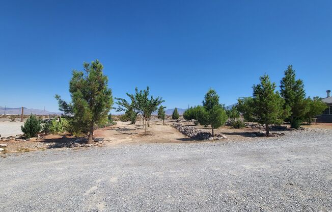 CHARLESTON COMMERCIAL CENTER - David Adam Road