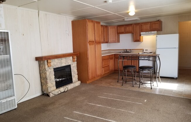 Studio, 1 bath, 450 sqft, $1,100, Unit #3