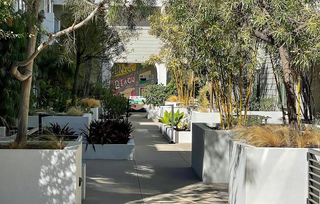 Venice on Rose Community Outdoors Outdoor Courtyard with Mural