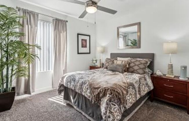 Lucera Apartments Homes