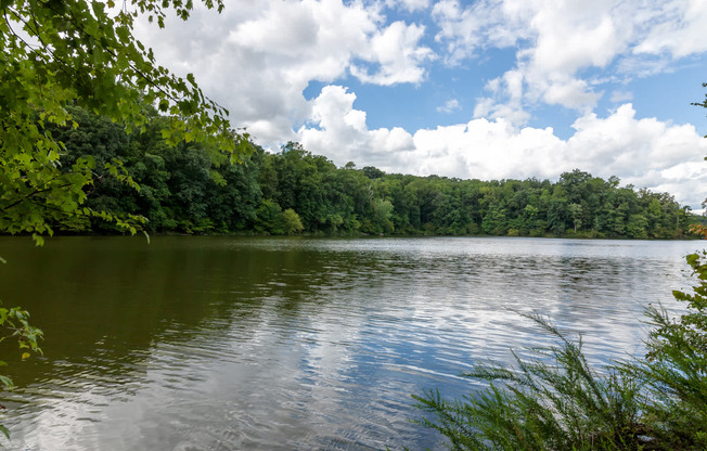 Enjoy Nature and Greenspace at Rock Creek Park