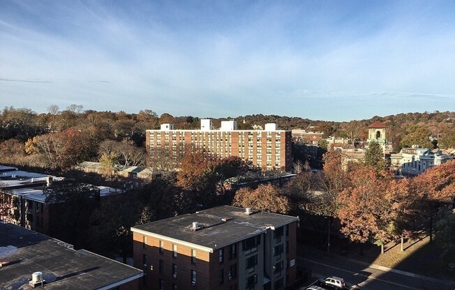 1 bed, 1 bath, 800 sqft, $3,000, Unit 1004