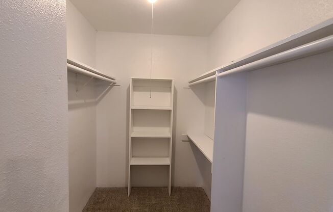 1 bed, 1 bath, 451 sqft, $900