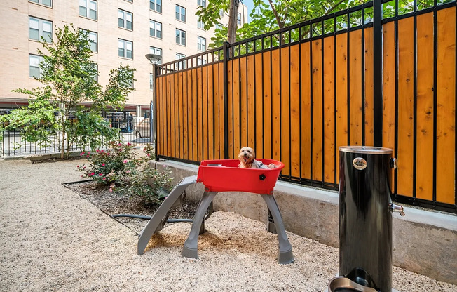 2 beds, 1 bath, $4,250, Unit 221A