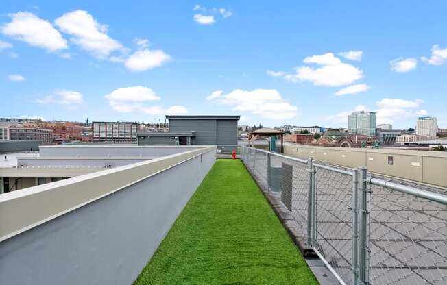 grass on the roof of a building with a view of the city