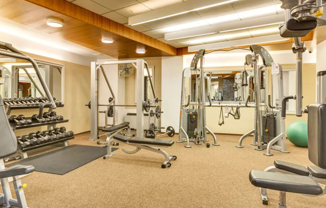 Studio, 1 bath, 625 sqft, $4,200, Unit 525