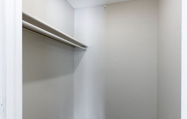 Walk-in Closet (1BR,1BA 690SF)