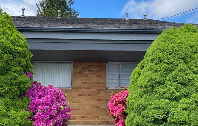 Beautiful and cozy updated one bedroom apartment in Downtown Renton.