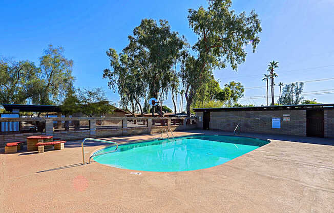 A small pool in a backyard with a bench and trees.