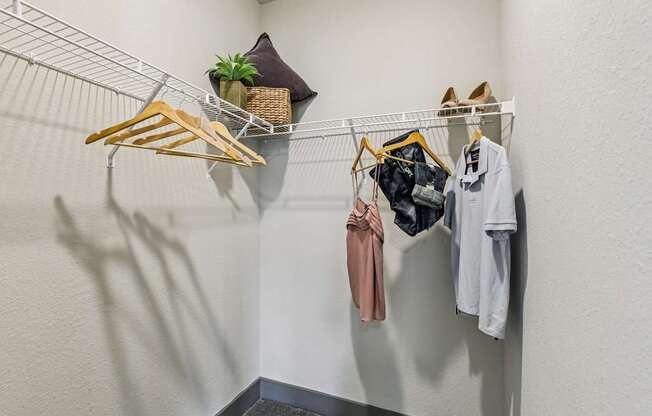 Large walk-in closet with built-in shelving at Lotus at Starkey Ranch in Odessa, Florida.