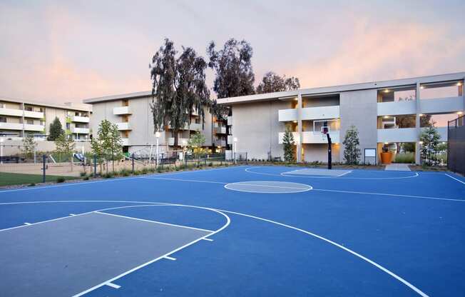 Basketball Court at The Chadwick, Los Angeles, CA, 90004