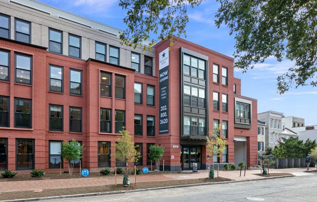 1 bed, 1 bath, $3,300, Unit 330