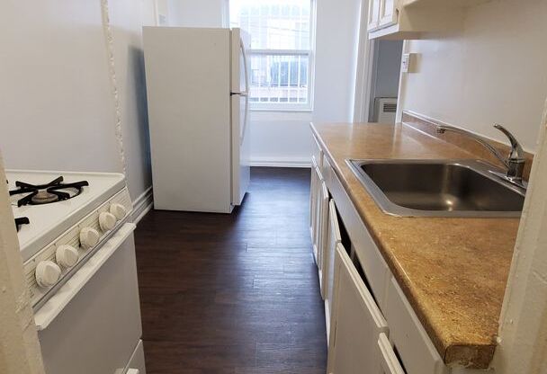 Studio, 1 bath, 450 sqft, $1,445, Unit 309