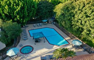 a close up of a garden